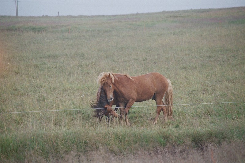 F01_20_17.jpg