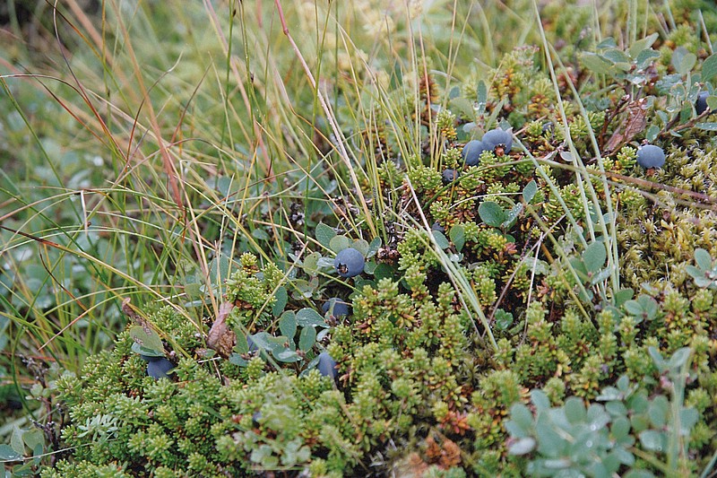 F02_26_25.jpg