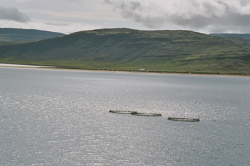 F03_24_23.jpg