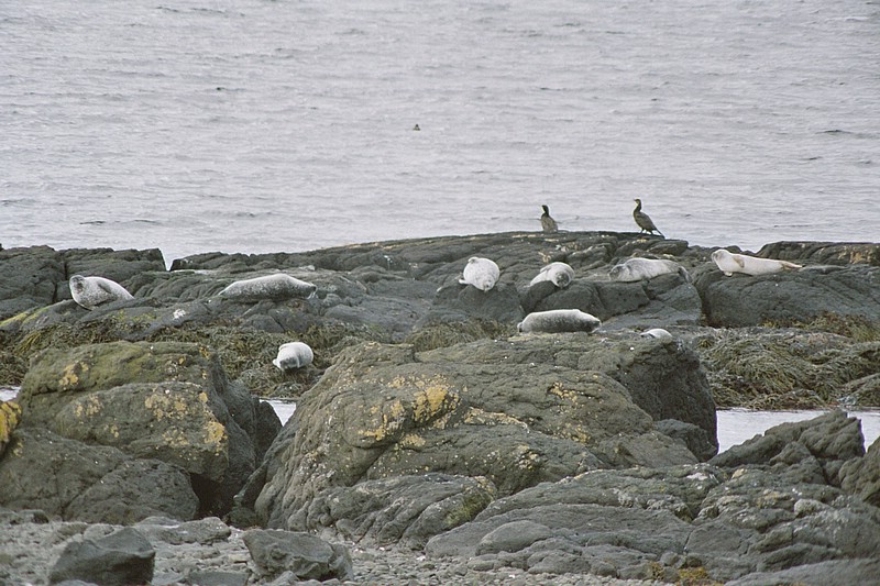 F04_19_36.jpg