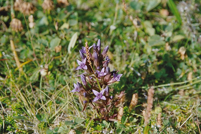 F06_23_26.jpg