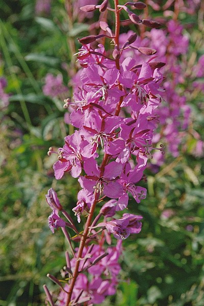 F06_23_35.jpg
