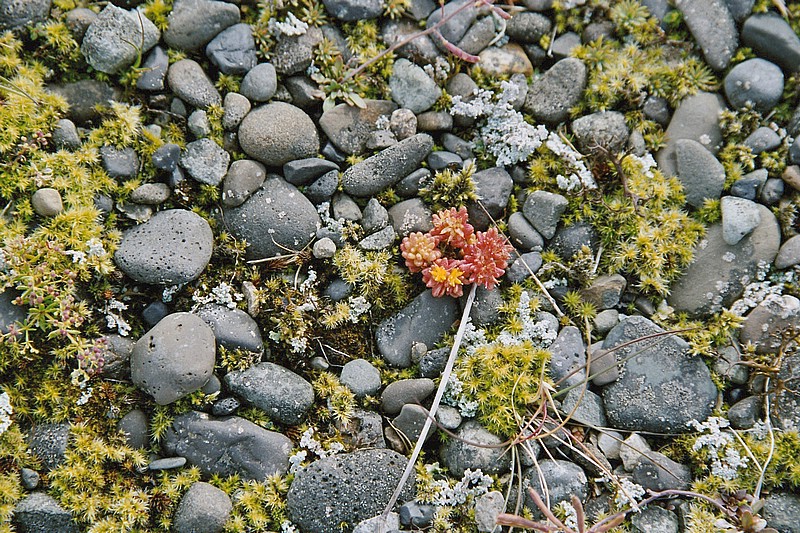 F07_22_20.jpg