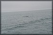 F05_25_32.jpg