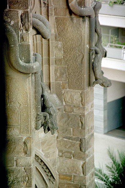 0014-81.jpg