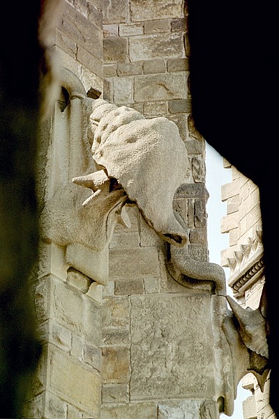0014-82.jpg