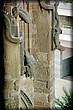 0014-81.jpg