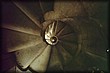 0016-66.jpg